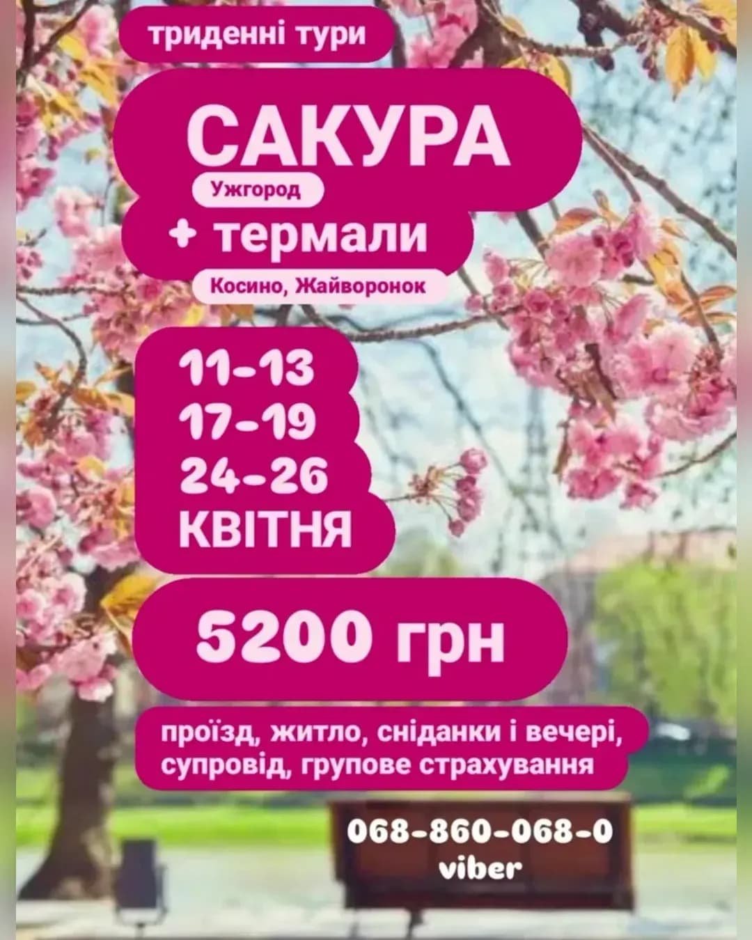 Сакура-фест + термали Закарпаття (17-19 квітня)