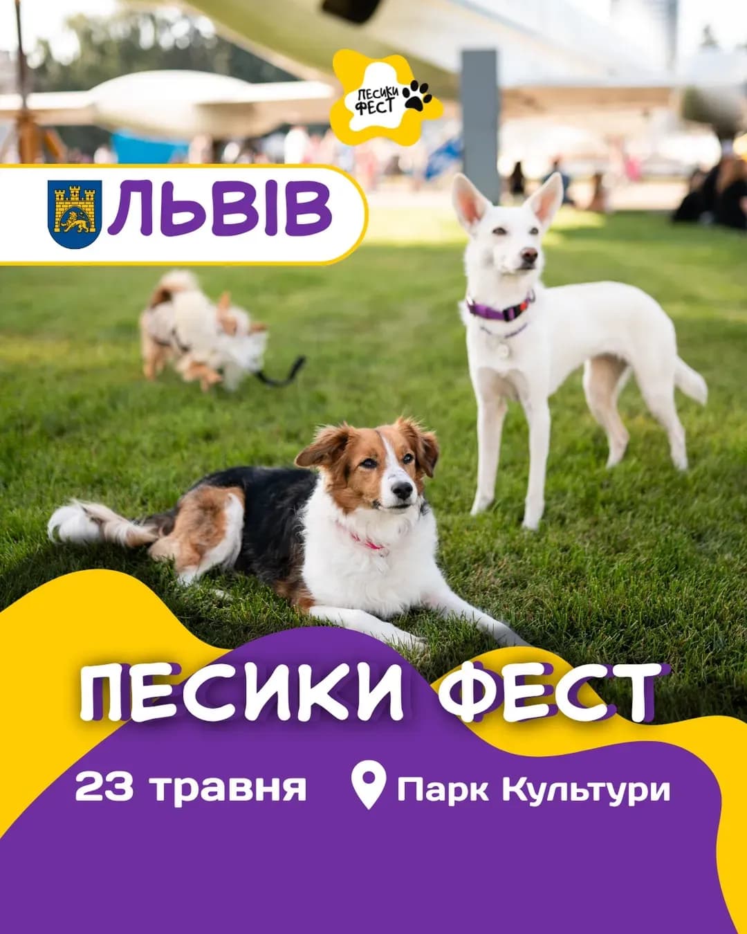 Песики Фест — Львів