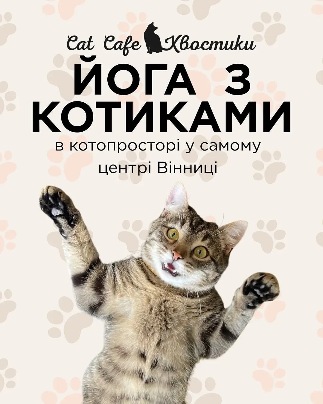 Котойога у котокафе