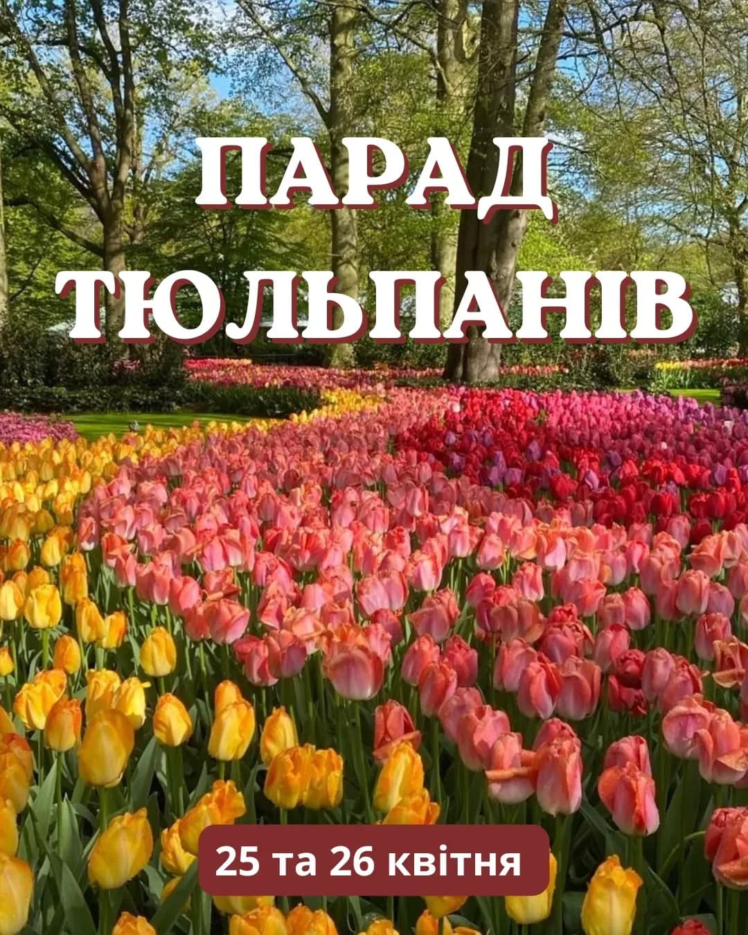 Бал тюльпанів і Кропивницький: тур із Кривого Рогу