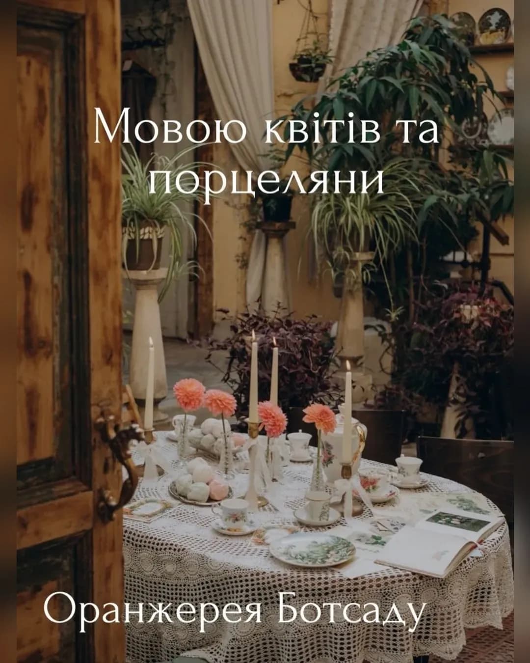 «Мовою квітів та порцеляни» в оранжереї Ботсаду