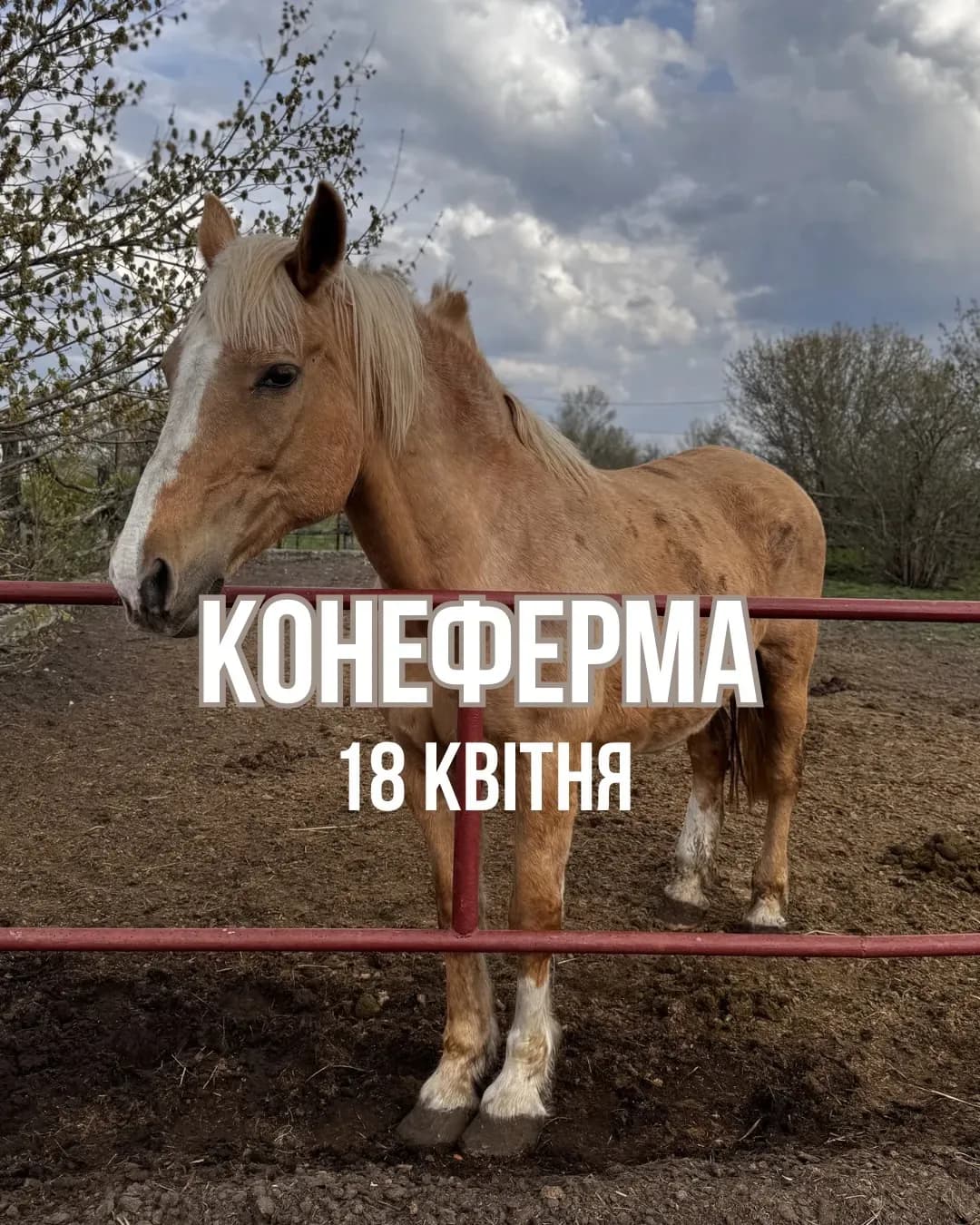 Прогулянка до конеферми
