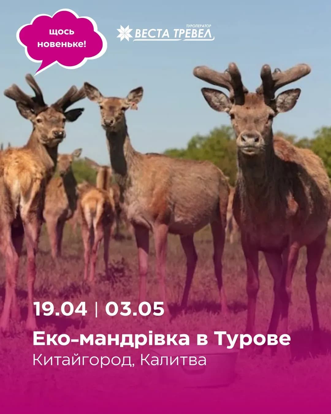 Еко-мандрівка в Турове — Еко Парк (19.04)