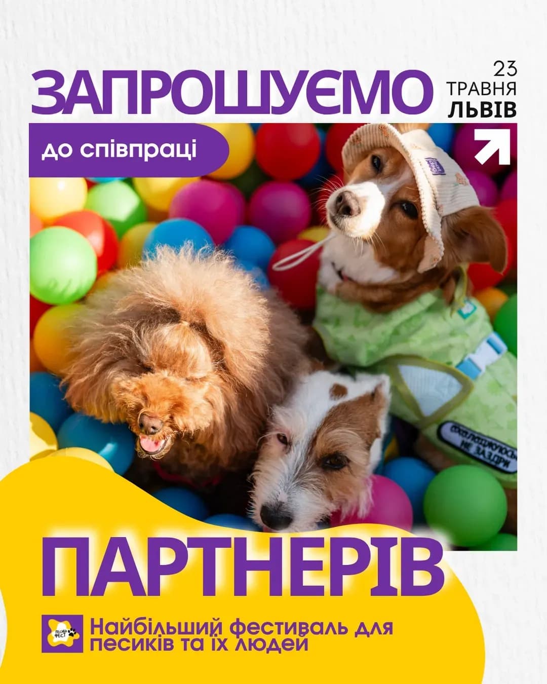 Песики Фест у Львові — фестиваль для собак та їхніх людей