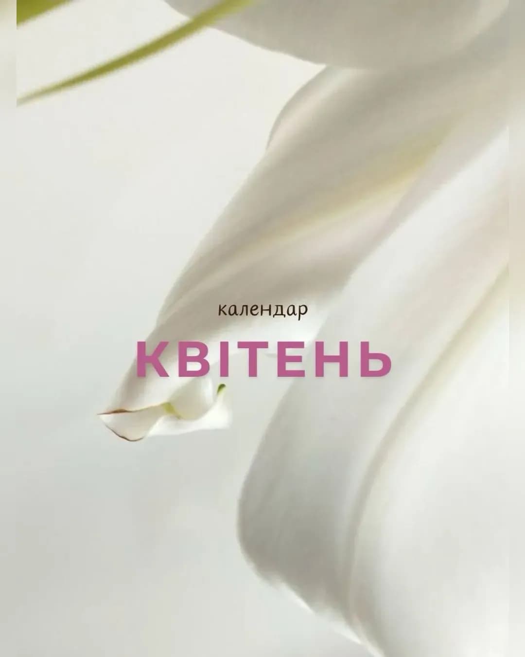 Парфумерна зустріч «Конвалія»