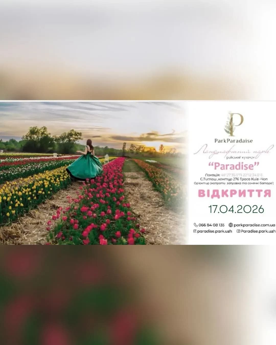 Відкриття сезону тюльпанів у Park Paradise