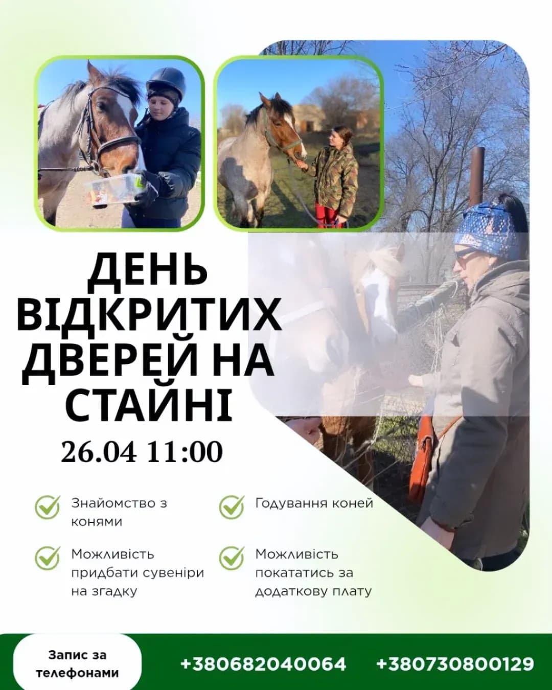 День відкритих дверей на стайні