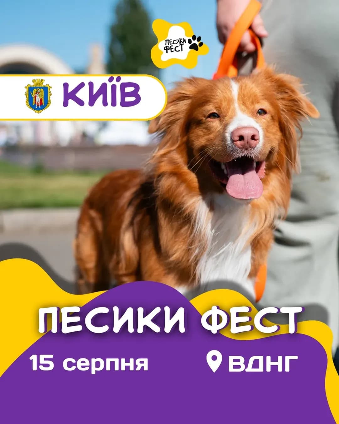 Песики Фест у Києві — фестиваль для собак та їхніх людей
