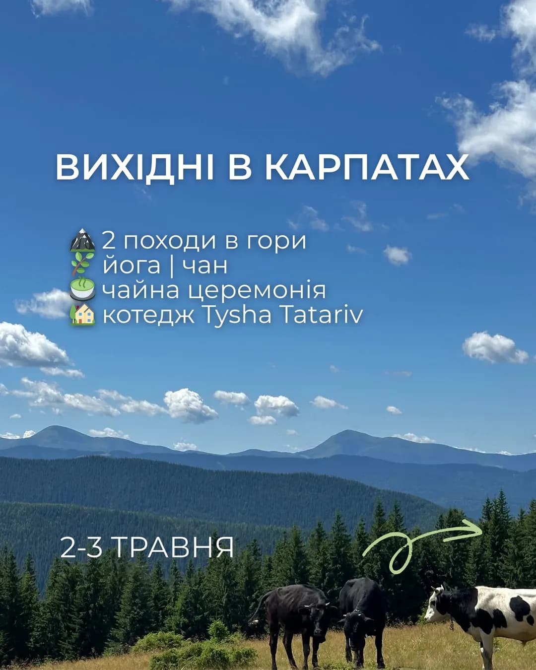 Гори + йога + відновлення у Микуличині