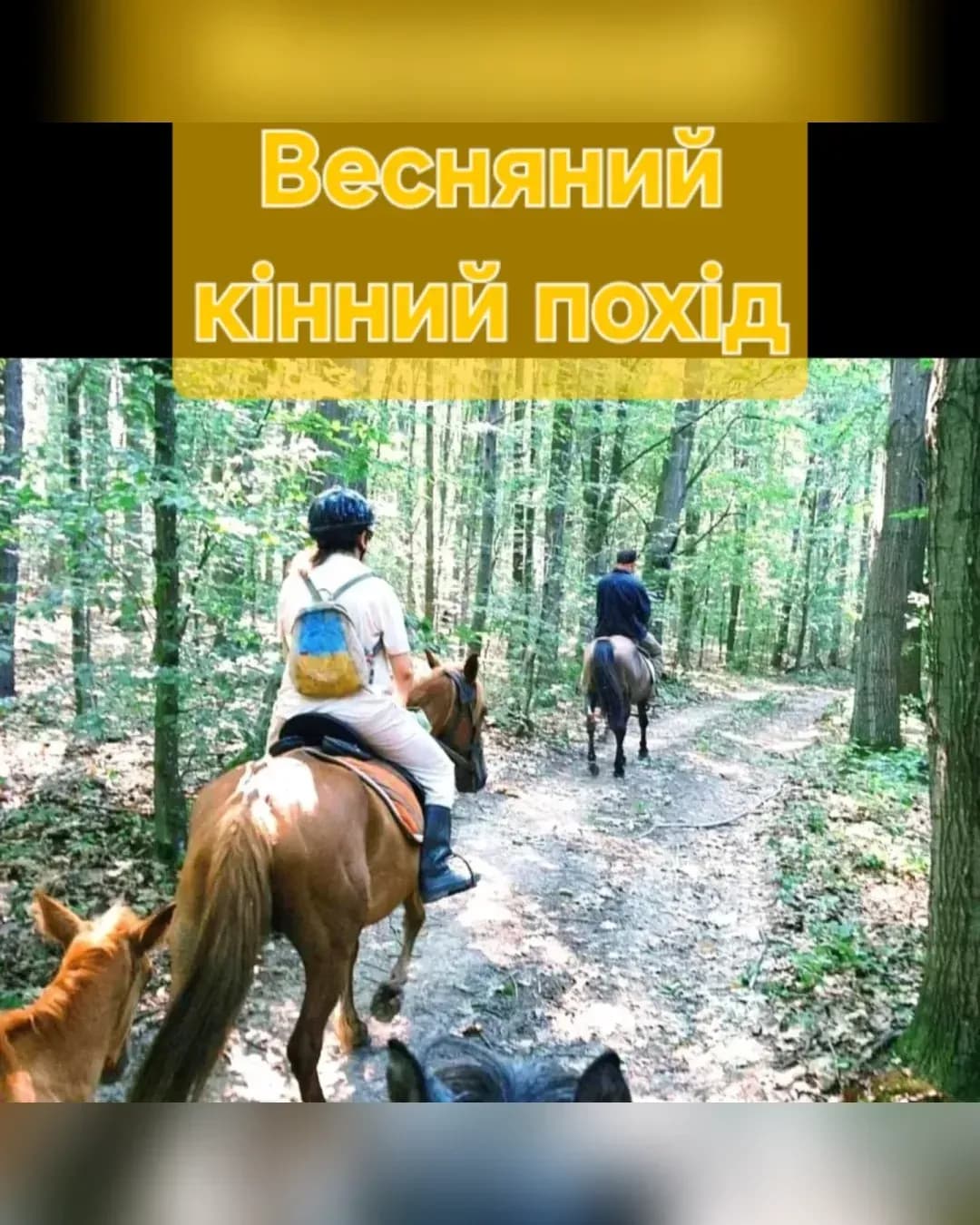 Похід до гейзера — Поділля