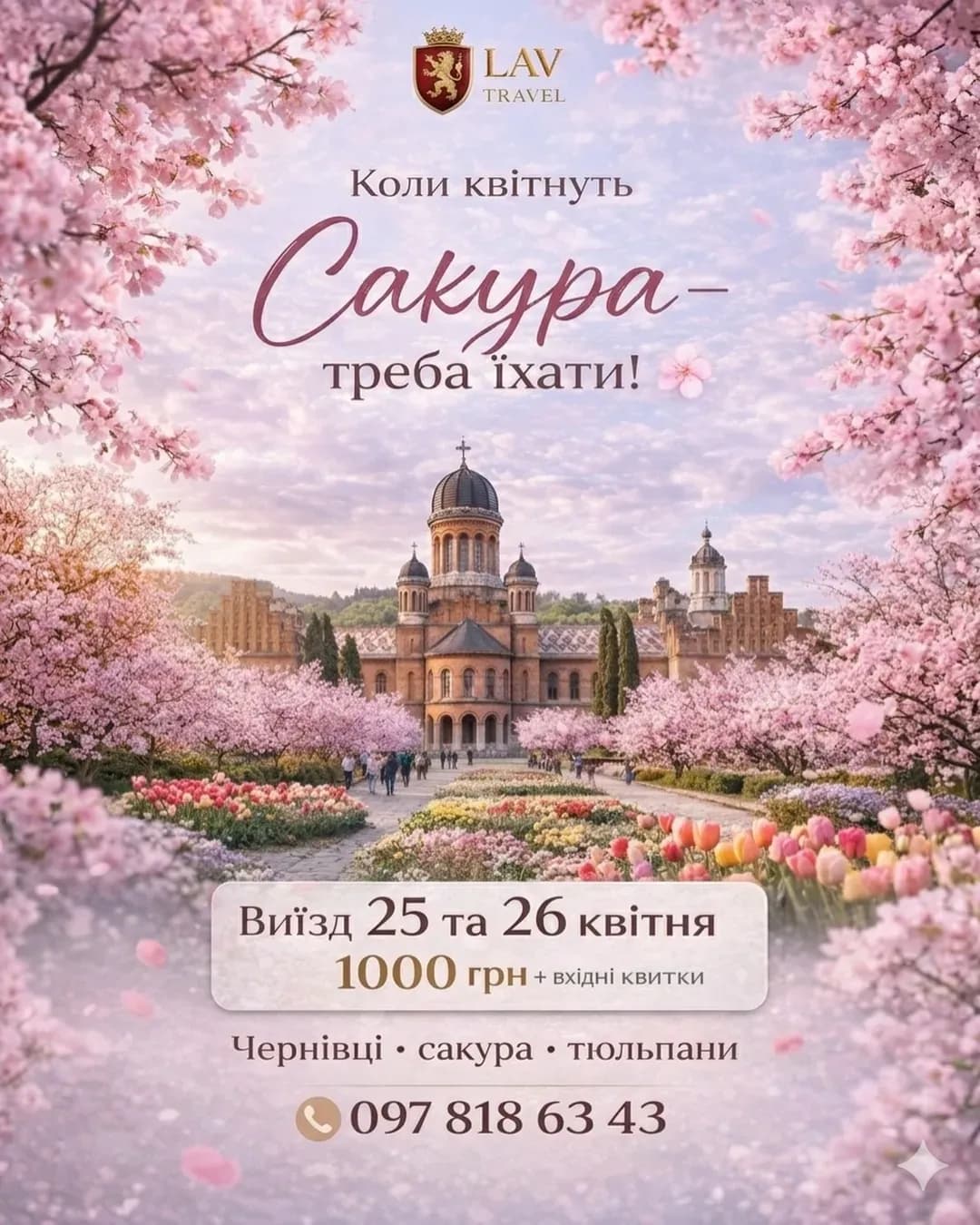 Сакури в Чернівцях — одноденний тур (26.04)