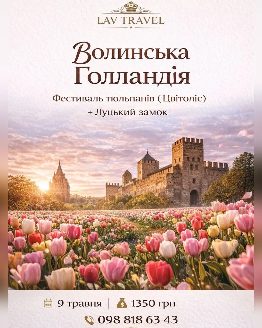 Фестиваль тюльпанів «Волинська Голландія» (Квітоліс) + Луцький замок